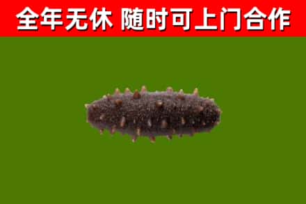 克孜勒苏烟酒回收干海参.jpg